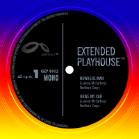 extended playhouse